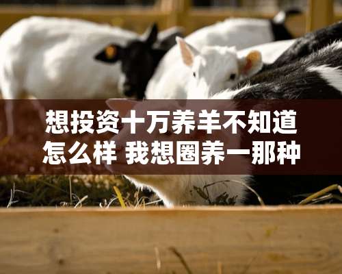 想投资十万养羊不知道怎么样 我想圈养一那种羊好养 毛羊在什么价位种羊多少钱？