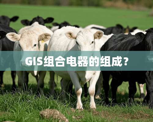 GIS组合电器的组成？