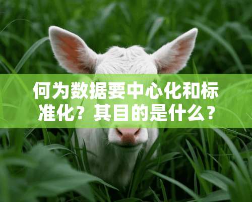 何为数据要中心化和标准化？其目的是什么？