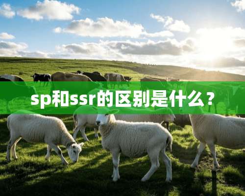 sp和ssr的区别是什么？