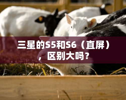 三星的S5和S6（直屏），区别大吗？