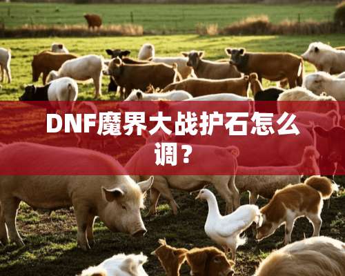 DNF魔界大战护石怎么调？