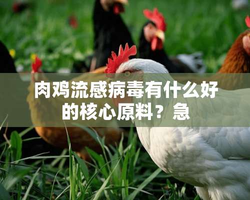 肉鸡流感病毒有什么好的核心原料？急