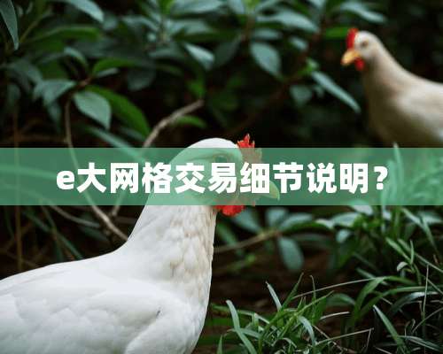 e大网格交易细节说明？