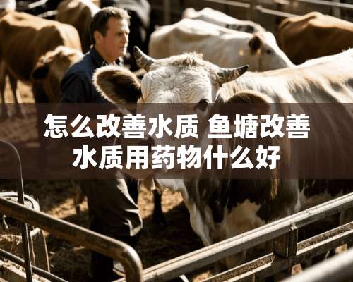 怎么改善水质 鱼塘改善水质用药物什么好