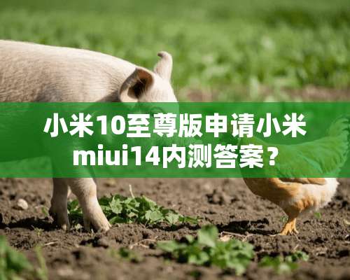 小米10至尊版申请小米miui14内测答案？