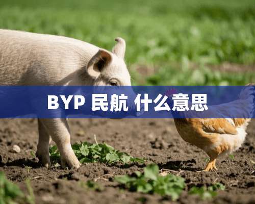 BYP 民航 什么意思