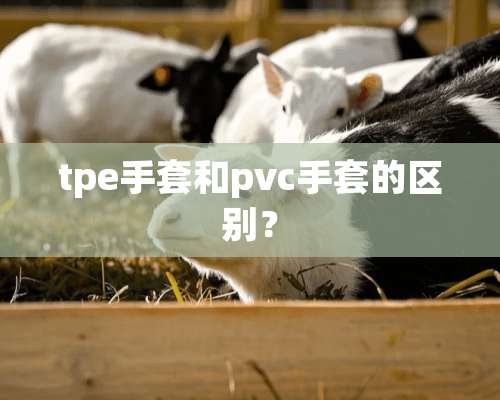 tpe手套和pvc手套的区别？