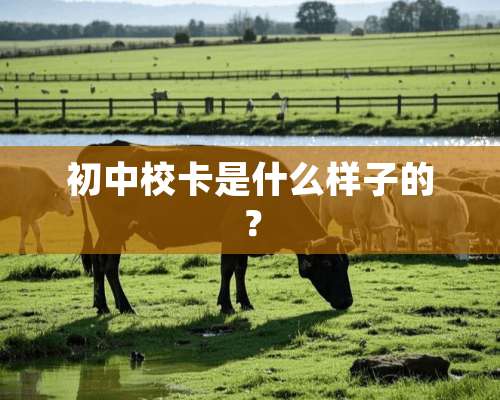 初中校卡是什么样子的？