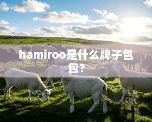 hamiroo是什么牌子包包？