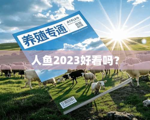 人鱼2023好看吗？