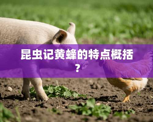 昆虫记黄蜂的特点概括？