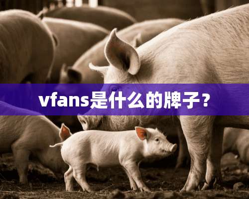 vfans是什么的牌子？