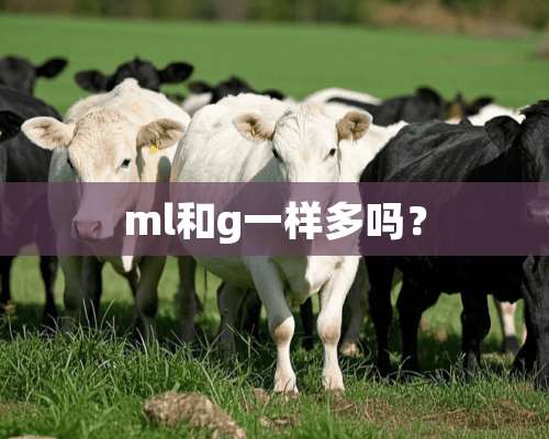 ml和g一样多吗？