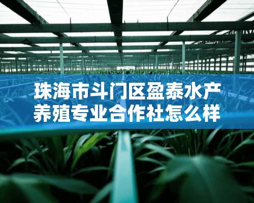 珠海市斗门区盈泰水产养殖专业合作社怎么样？