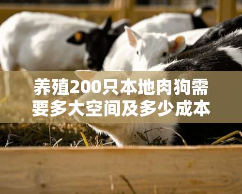 养殖200只本地肉狗需要多大空间及多少成本，纯利润是多少？