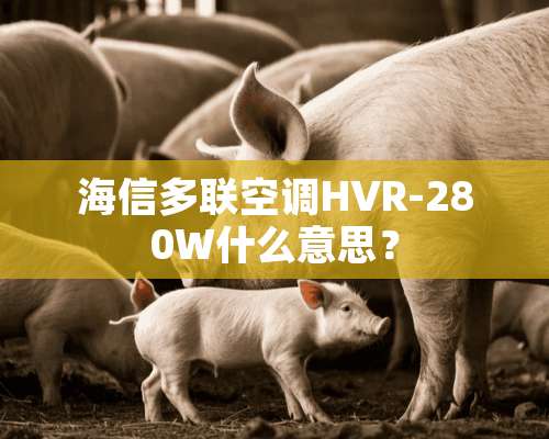 海信多联空调HVR-280W什么意思？