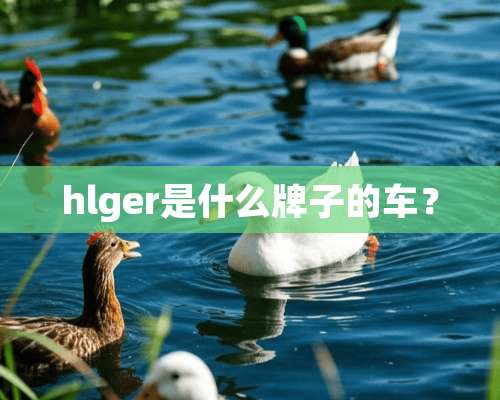 hlger是什么牌子的车？