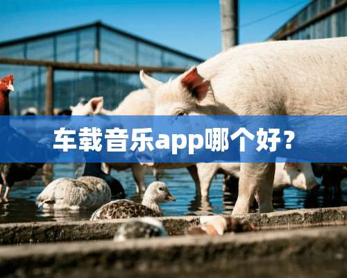 车载音乐app哪个好？