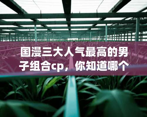 国漫三大人气最高的男子组合cp，你知道哪个？