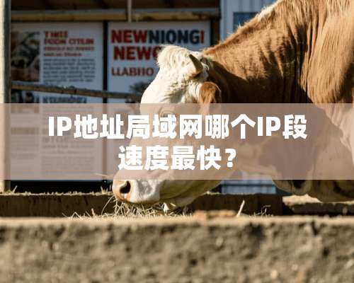 IP地址局域网哪个IP段速度最快？