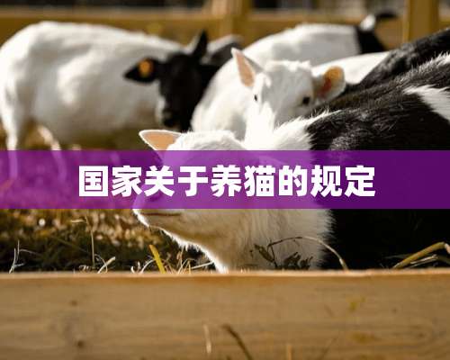 国家关于养猫的规定