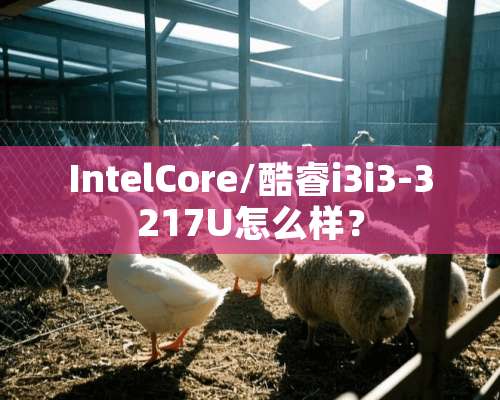 IntelCore/酷睿i3i3-3217U怎么样？