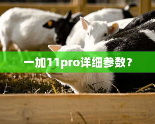 一加11pro详细参数？