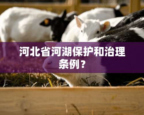 河北省河湖保护和治理条例？