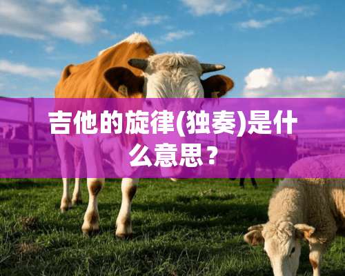 吉他的旋律(独奏)是什么意思？