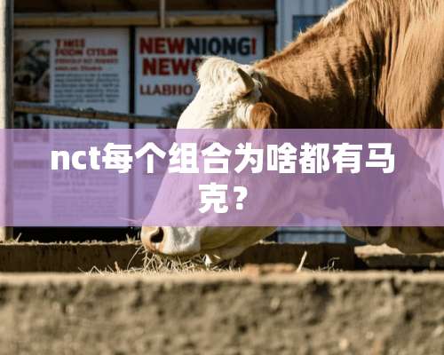 nct每个组合为啥都有马克？