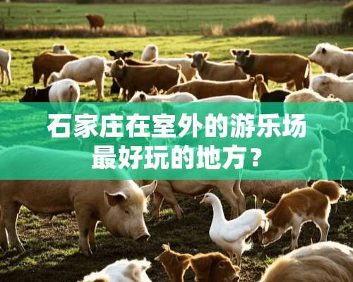 石家庄在室外的游乐场最好玩的地方？