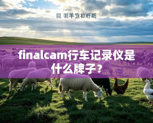 finalcam行车记录仪是什么牌子？