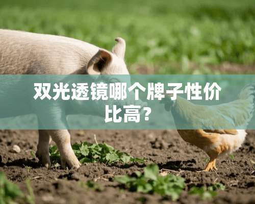 双光透镜哪个牌子性价比高？