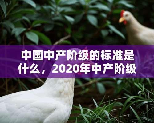 中国中产阶级的标准是什么，2020年中产阶级的人数突破4.7亿