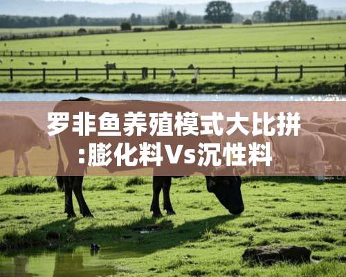 罗非鱼养殖模式**拼:膨化料Vs沉性料