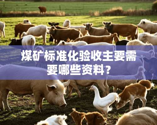 煤矿标准化验收主要需要哪些资料？