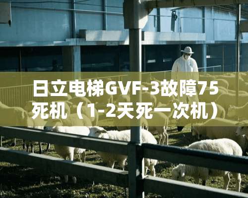 日立电梯GVF-3故障75死机（1-2天死一次机）如何处理