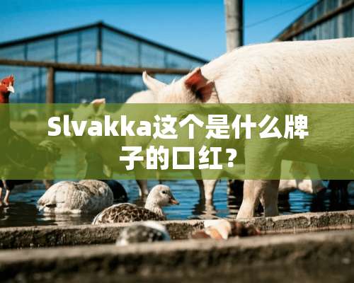 Slvakka这个是什么牌子的口红？