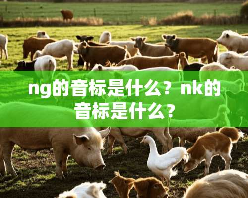 ng的音标是什么？nk的音标是什么？