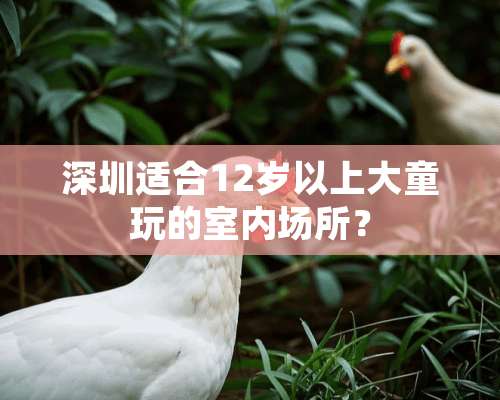 深圳适合12岁以上大童玩的室内场所？