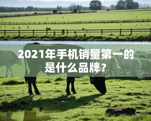 2021年手机销量第一的是什么品牌？