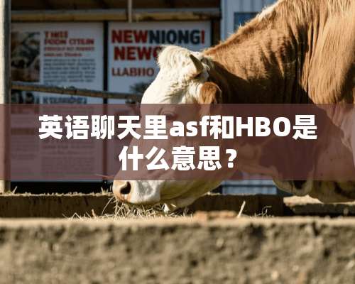 英语聊天里asf和HBO是什么意思？