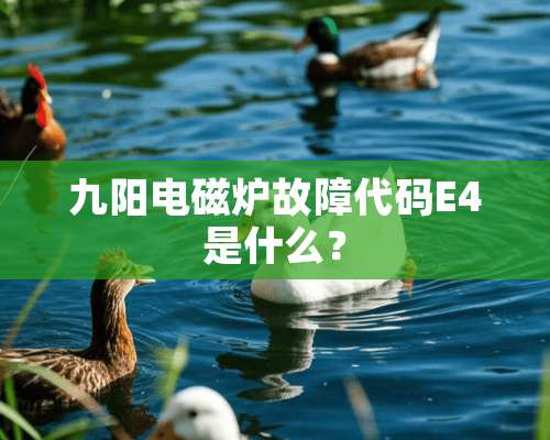 九阳电磁炉故障代码E4是什么？