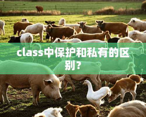 class中保护和私有的区别？