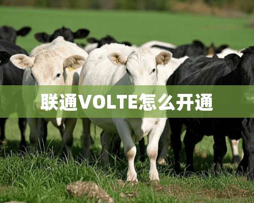 联通VOLTE怎么开通