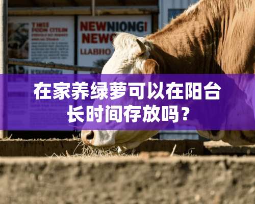 在家养绿萝可以在阳台长时间存放吗？