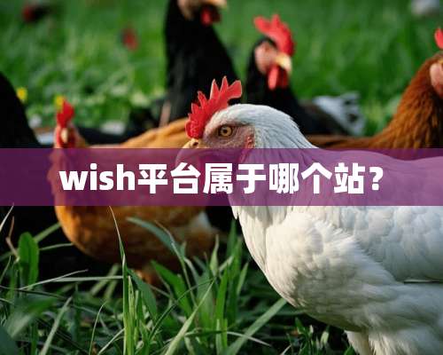 wish平台属于哪个站？