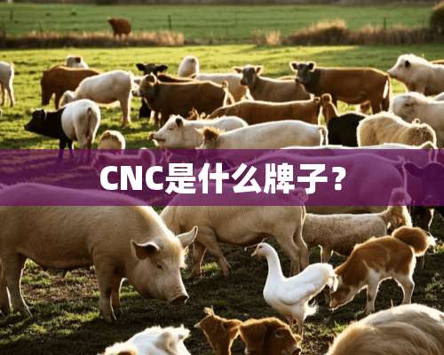 CNC是什么牌子？