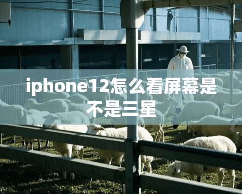 iphone12怎么看屏幕是不是三星